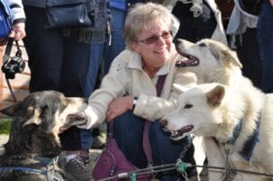 Alaskan Husky