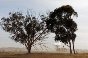 Heritage rail holidays