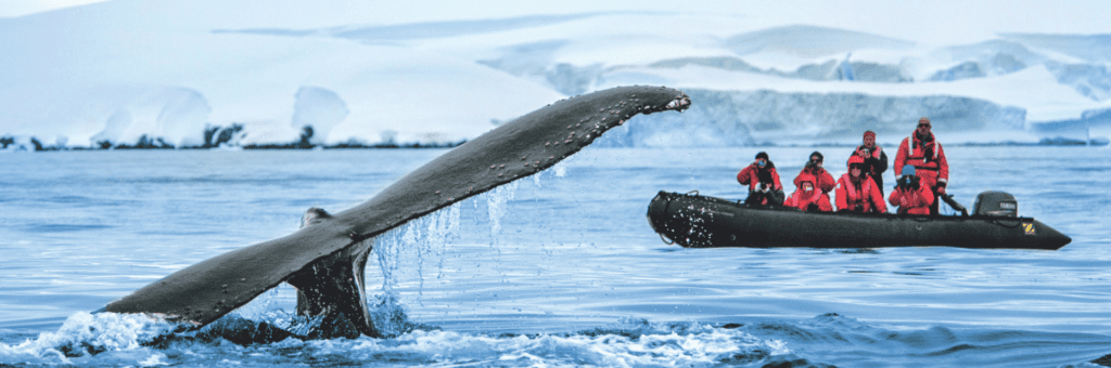 Ponant Antarctica