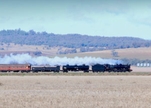 View of steam locomotive 5917 Mudgee by Steam