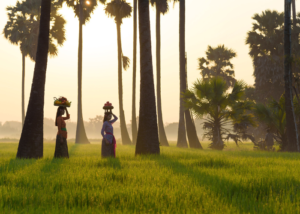 Komodo & the Australian Coast with Viking Cruises